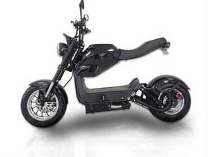 CITY MAX RR (NEU), 40AH, SCHWARZ GLANZ CANTON ZURICH -