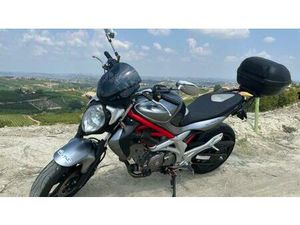 VENDO SUZUKI SV 650 (2006 - 11) USATA A GEMONIO (CODICE 8999017) - MOTO.IT
