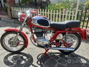MV AUGUSTA 250B 1968