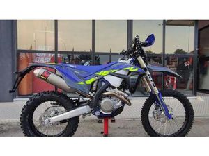VENDO SHERCO 300 SEF FACTORY (2024) NUOVA A CIVITAVECCHIA (CODICE 9266900) - MOTO.IT