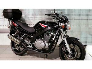 VENDO SUZUKI GS 500 (2001 - 06) USATA A CASALGRASSO (CODICE 9258709) - MOTO.IT