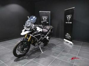 TRIUMPH TIGER RALLY EXPLORER