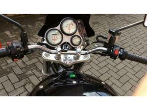 VENDO TRIUMPH SPEED TRIPLE T 509 (1997) USATA A SETTIMO MILANESE (CODICE 9408783) - MOTO.IT
