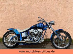 HARLEY-DAVIDSON REV TECH SOFTAIL 110 UMBAU
