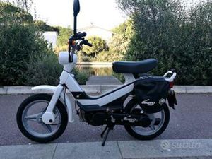 GRILLO PIAGGIO - 2019