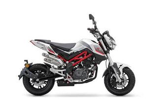 VENDO BENELLI TORNADO NAKED T 125 (2021) NUOVA A GUARENE (CODICE 8497220) - MOTO.IT