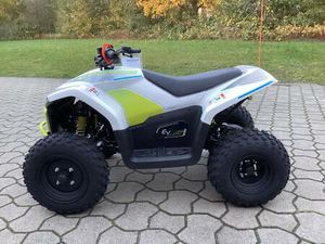 CFMOTO CFORCE EV110