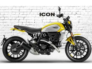 DUCATI SCRAMBLER ICON 2024 TAGESZULASSUNG