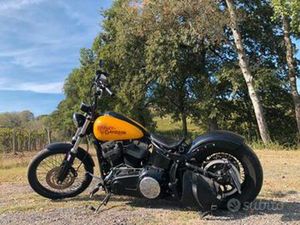 HARLEY DAVIDSON SOFTAIL BLACKLINE