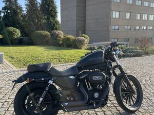 HARLEY DAVIDSON 883 IRON CANELAS