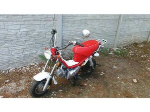 SKY TEAM 125 GONGOLO 125 SKYTEAM125 DAX 125 BODZANÓW