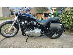 VENDO HARLEY-DAVIDSON SOFTAIL STANDARD (2020) - FXST USATA A FAEDIS (CODICE 9448218) - MOTO.IT