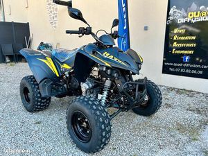 KYMCO MAXXER 300 (T3B) + NERF BARS