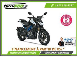 2024 CFMOTO 300NK CF MOTO 300 NK PETITE PLAQUES MT03 CBR DUKE