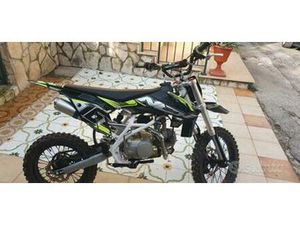 NCX PIT BIKE 125 2022