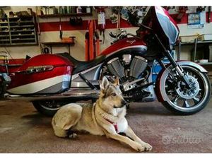 VICTORY MAGNUM - 2015