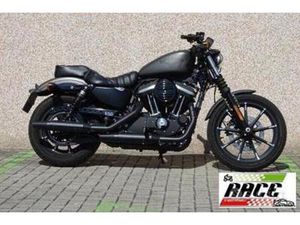 HARLEY-DAVIDSON - SPORTSTER - 883 IRON- XL 883N