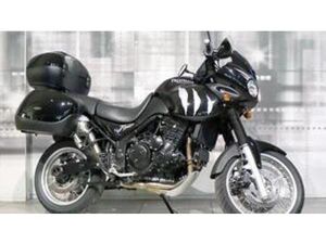 TIGER 955 (2002 - 06)