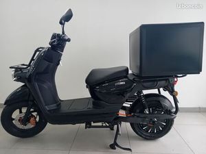 SCOOTER DE LIVRAISON ÉLECTRIQUE PROMO