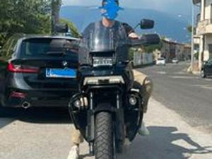 HARLEY-DAVIDSON PAN AMERICA 1250 - 2023