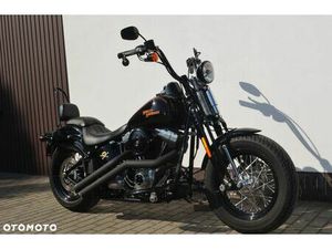 HARLEY-DAVIDSON SOFTAIL CROSS BONES