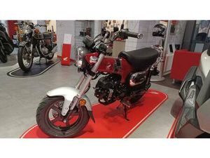VENDO HONDA DAX 125 (2023 - 24) NUOVA A AREZZO (CODICE 9117511) - MOTO.IT