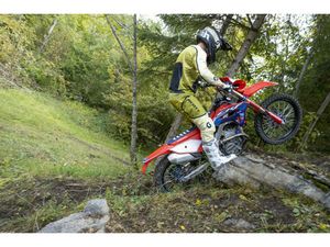 REDMOTO CRF 250 RX ENDURO SPECIAL, ENDURO, MOTO NEUVE, CHF 12'900.-