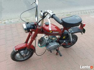 MOTORYNKA PONY WIŚNIOWA ORYGINAL POZNAŃ