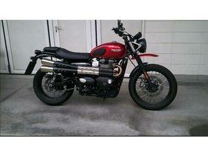 VENDO TRIUMPH STREET SCRAMBLER 900 (2019 - 20) USATA A BERGAMO (CODICE 9528375) - MOTO.IT