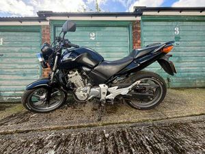 HONDA, CBF, 2004, 499 (CC)