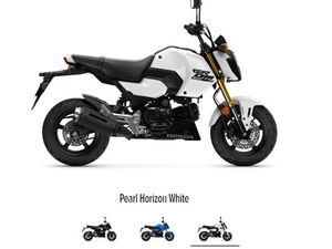 NEW HONDA MSX125 FOR SALE IN PEVENSEY BAY