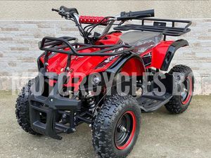 ДРУГИ ДРУГ ЕЛЕКТРИЧЕСКО ATV TS - HUNTER 800W →