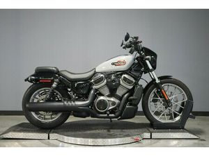 2024 HARLEY-DAVIDSON NIGHTSTER