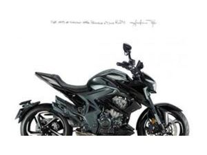 ZT350-R1 (2022 - 25)