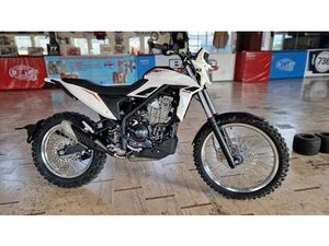 VENDO BETAMOTOR ALP 4.0 (2024 - 25) NUOVA A ARLUNO (CODICE 9402353) - MOTO.IT