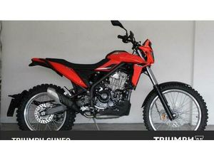 VENDO BETAMOTOR ALP 4.0 (2024 - 25) NUOVA A DOGLIANI (CODICE 9544031) - MOTO.IT