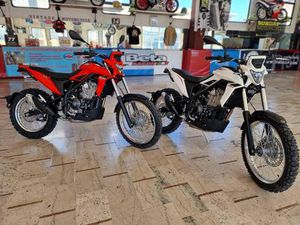 VENDO BETAMOTOR ALP 4.0 (2024 - 25) NUOVA A ARLUNO (CODICE 9411255) - MOTO.IT