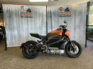 2020 HARLEY-DAVIDSON LIVEWIRE™ ELW
