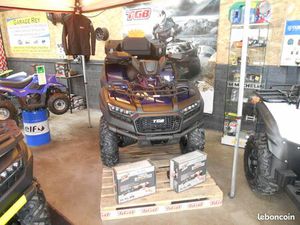 QUAD TGB BLADE 600 SE EPS