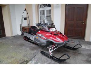 ARCTIC CAT BEARCAT 660 MOTORSCHLITTEN ARBEITSSCHLITTEN TOP