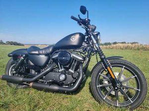 HARLEY-DAVIDSON XL 883N SPORTSTER IRON
