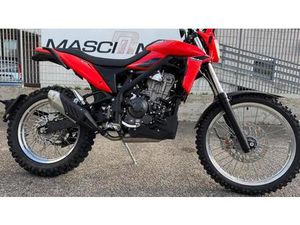 VENDO BETAMOTOR ALP 4.0 (2024 - 25) NUOVA A TERNI (CODICE 9608357) - MOTO.IT