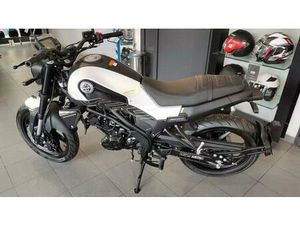 VENDO BENELLI LEONCINO 125 (2022 - 25) NUOVA A MISANO ADRIATICO (CODICE 8841365) - MOTO.IT