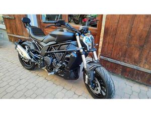 VENDO BENELLI 502 C (2021 - 25) NUOVA A CAVOUR (CODICE 8532903) - MOTO.IT