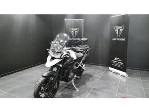 VENDO TRIUMPH TIGER 1200 GT PRO (2024 - 25) USATA A VITERBO (CODICE 9509585) - MOTO.IT