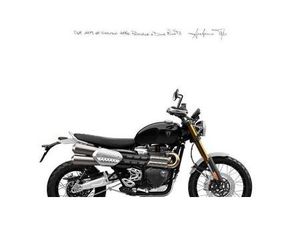 VENDO TRIUMPH SCRAMBLER 1200 XE (2024 - 25) NUOVA A FIRENZE (CODICE 9573068) - MOTO.IT