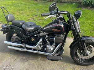 HARLEY DAVIDSON SOFTAIL CROSS BONES