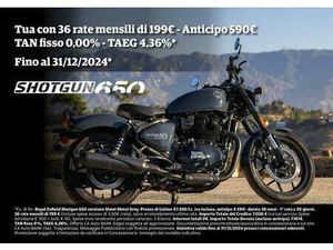 VENDO ROYAL ENFIELD SHOTGUN 650 (2024 - 25) NUOVA A AVELLINO (CODICE 9557623) - MOTO.IT