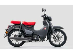 HONDA BLACKDEAL SUPER CUB C125 - NEU - GRAY - TZ