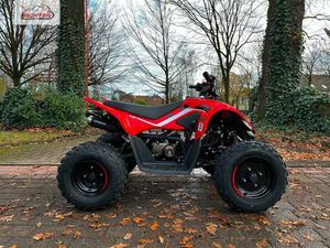 CFMOTO CFORCE 110 ◊ SOFORT VERFÜGBAR | KINDERQUAD